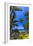 Tropical Coastline of Princeville, Hi-Andrew Shoemaker-Framed Photographic Print