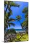 Tropical Coastline of Princeville, Hi-Andrew Shoemaker-Mounted Photographic Print