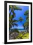 Tropical Coastline of Princeville, Hi-Andrew Shoemaker-Framed Photographic Print