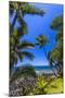 Tropical Coastline of Princeville, Hi-Andrew Shoemaker-Mounted Photographic Print