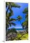 Tropical Coastline of Princeville, Hi-Andrew Shoemaker-Framed Premium Photographic Print