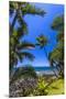 Tropical Coastline of Princeville, Hi-Andrew Shoemaker-Mounted Premium Photographic Print