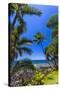 Tropical Coastline of Princeville, Hi-Andrew Shoemaker-Stretched Canvas