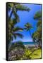 Tropical Coastline of Princeville, Hi-Andrew Shoemaker-Framed Stretched Canvas