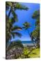 Tropical Coastline of Princeville, Hi-Andrew Shoemaker-Stretched Canvas