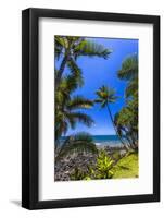 Tropical Coastline of Princeville, Hi-Andrew Shoemaker-Framed Photographic Print