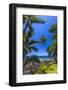 Tropical Coastline of Princeville, Hi-Andrew Shoemaker-Framed Photographic Print