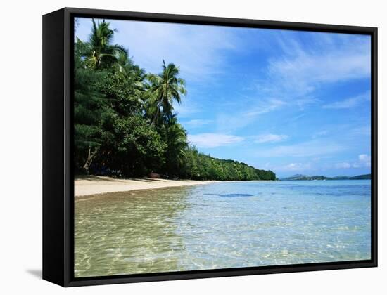 Tropical Coastline of Turtle Island-David Papazian-Framed Stretched Canvas