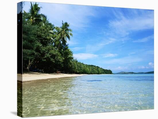 Tropical Coastline of Turtle Island-David Papazian-Stretched Canvas