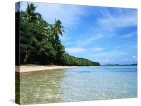 Tropical Coastline of Turtle Island-David Papazian-Stretched Canvas