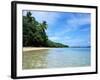 Tropical Coastline of Turtle Island-David Papazian-Framed Premium Photographic Print