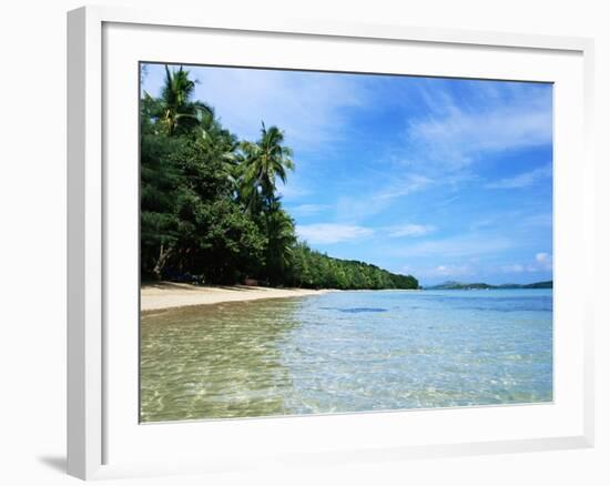 Tropical Coastline of Turtle Island-David Papazian-Framed Photographic Print