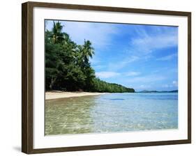 Tropical Coastline of Turtle Island-David Papazian-Framed Photographic Print