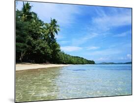 Tropical Coastline of Turtle Island-David Papazian-Mounted Photographic Print