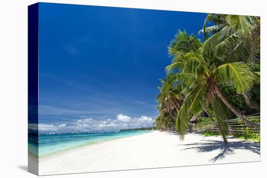 Tropical Coastline with Beautiful Palm and White Sand-pashapixel-Stretched Canvas