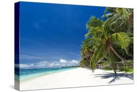Tropical Coastline with Beautiful Palm and White Sand-pashapixel-Stretched Canvas