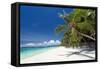 Tropical Coastline with Beautiful Palm and White Sand-pashapixel-Framed Stretched Canvas