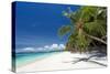 Tropical Coastline with Beautiful Palm and White Sand-pashapixel-Stretched Canvas