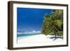 Tropical Coastline with Beautiful Palm and White Sand-pashapixel-Framed Photographic Print