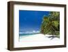 Tropical Coastline with Beautiful Palm and White Sand-pashapixel-Framed Photographic Print