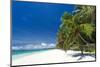 Tropical Coastline with Beautiful Palm and White Sand-pashapixel-Mounted Photographic Print