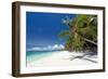 Tropical Coastline with Beautiful Palm and White Sand-pashapixel-Framed Photographic Print