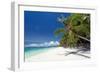 Tropical Coastline with Beautiful Palm and White Sand-pashapixel-Framed Photographic Print