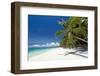 Tropical Coastline with Beautiful Palm and White Sand-pashapixel-Framed Photographic Print