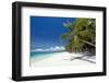 Tropical Coastline with Beautiful Palm and White Sand-pashapixel-Framed Photographic Print