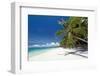 Tropical Coastline with Beautiful Palm and White Sand-pashapixel-Framed Photographic Print