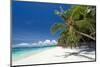 Tropical Coastline with Beautiful Palm and White Sand-pashapixel-Mounted Photographic Print