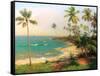 Tropical Coastline-Karen Dupré-Framed Stretched Canvas