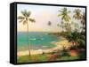 Tropical Coastline-Karen Dupré-Framed Stretched Canvas