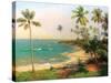 Tropical Coastline-Karen Dupré-Stretched Canvas