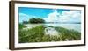 Tropical Coastline-Bill Carson Photography-Framed Photographic Print