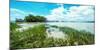 Tropical Coastline-Bill Carson Photography-Mounted Photographic Print