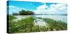 Tropical Coastline-Bill Carson Photography-Stretched Canvas