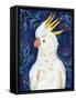 Tropical Cockatoo-Farida Zaman-Framed Stretched Canvas