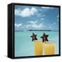 Tropical Cocktails-null-Framed Stretched Canvas