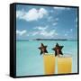 Tropical Cocktails-null-Framed Stretched Canvas