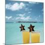 Tropical Cocktails-null-Mounted Photographic Print