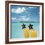 Tropical Cocktails-null-Framed Photographic Print