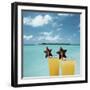 Tropical Cocktails-null-Framed Photographic Print