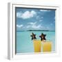 Tropical Cocktails-null-Framed Photographic Print