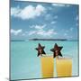 Tropical Cocktails-null-Mounted Photographic Print