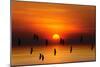 Tropical Colorful Sunset, Songkhla, Thailand-siriwat srinuroht-Mounted Art Print