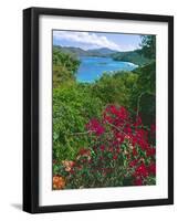 Tropical Colors of Saint John, US Virgin Islands-George Oze-Framed Photographic Print