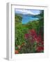 Tropical Colors of Saint John, US Virgin Islands-George Oze-Framed Photographic Print