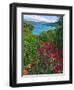 Tropical Colors of Saint John, US Virgin Islands-George Oze-Framed Photographic Print