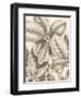 Tropical Connection I-Louis Van Houtte-Framed Art Print